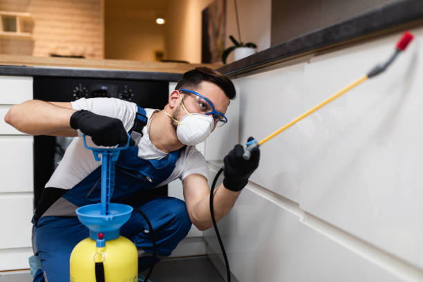 Reliable Ames, IA Pest Control Solutions