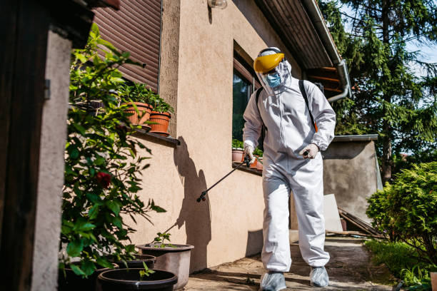 Best Residential Pest Control  in Ames, IA