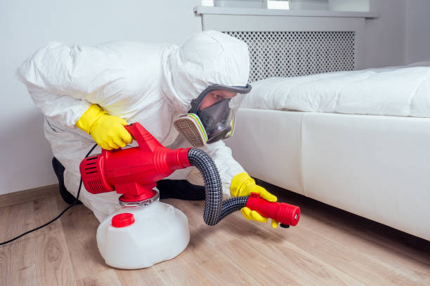 Best Rat Extermination Near Me  in Ames, IA
