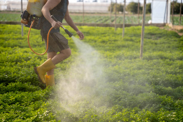 Best Commercial Pest Control Services  in Ames, IA