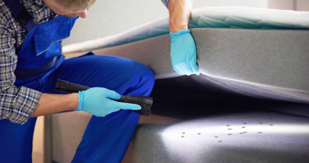 Best Ant Control Services  in Ames, IA