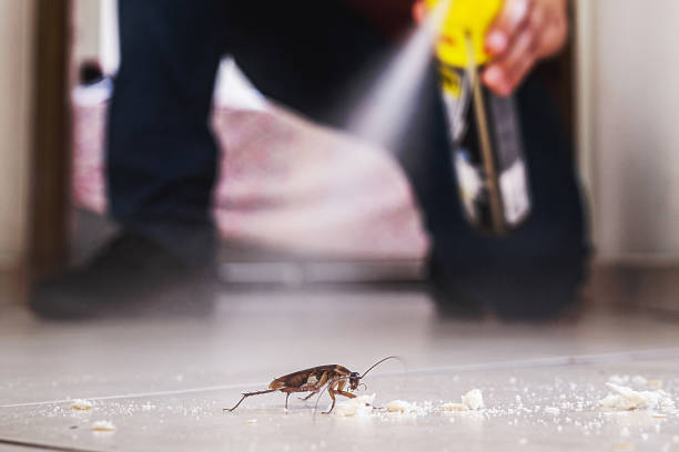 Best Pest Removal Services  in Ames, IA