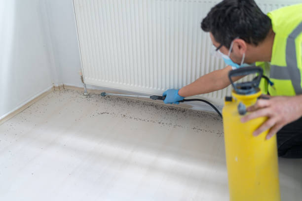 Best Pest Control for Restaurants  in Ames, IA