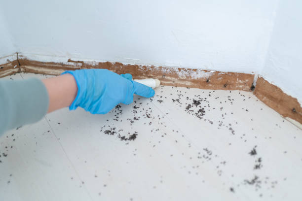 Best Best Pest Control Near Me  in Ames, IA